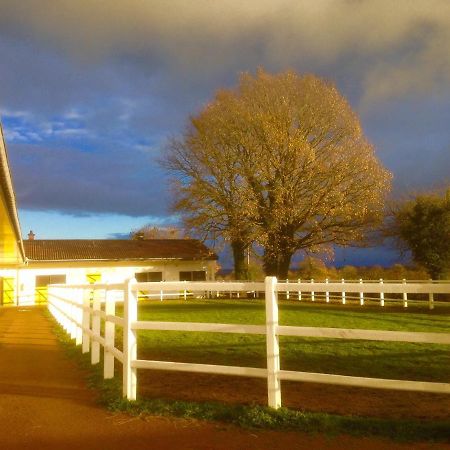 Le Haras Du Favry Appartement Palinges Buitenkant foto