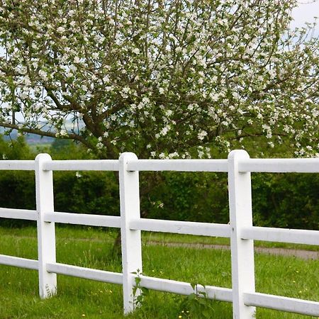Le Haras Du Favry Appartement Palinges Buitenkant foto