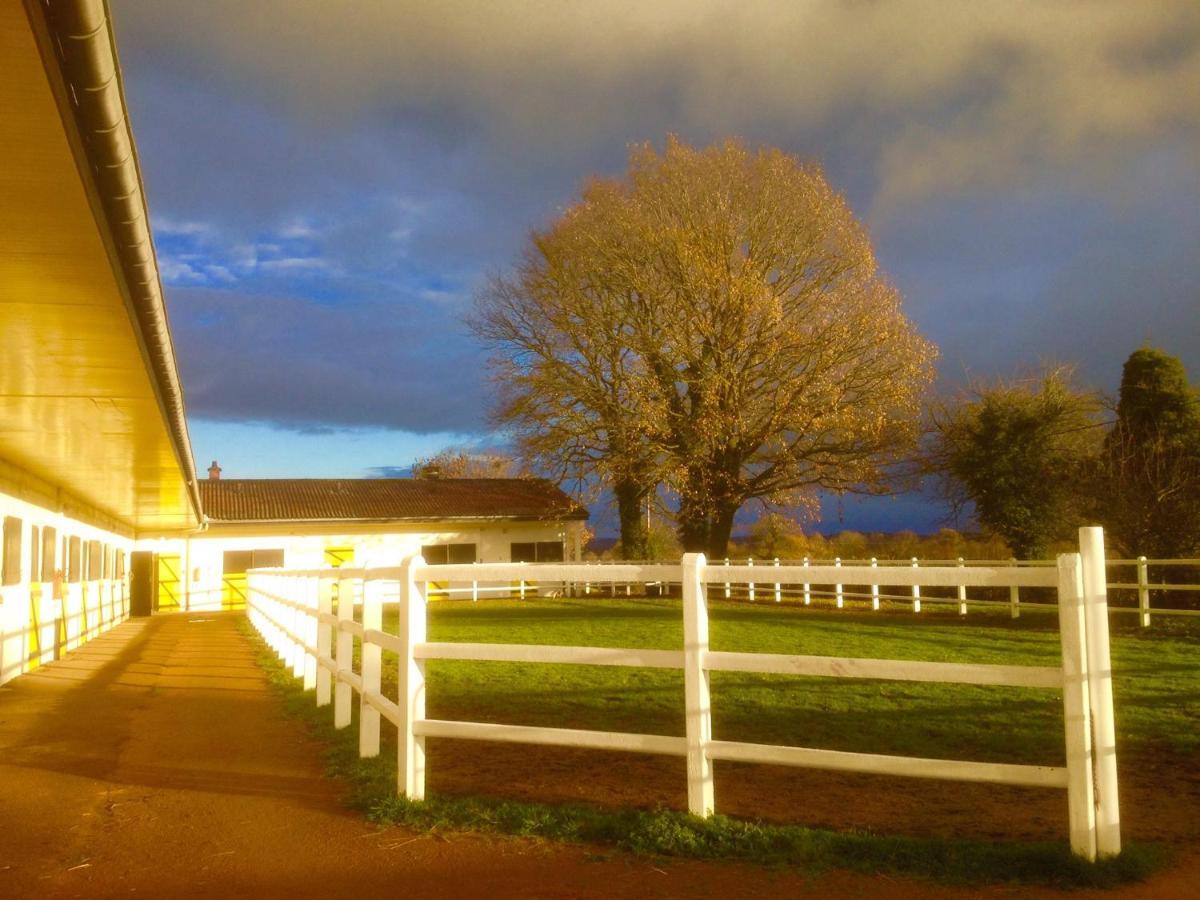 Le Haras Du Favry Appartement Palinges Buitenkant foto